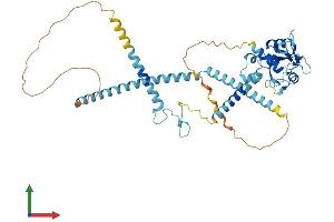 AlphaFold protein structure predicition of Human Recombinant SH2D4A Protein, UniprotID Q9H788