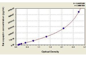 Typical standard curve (Copeptin Kit ELISA)