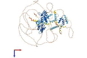 AlphaFold protein structure predicition of Mouse Recombinant Brdt Protein, UniprotID Q91Y44