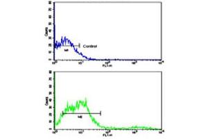 Flow cytometric analysis of NCI-H292 cells using CD8A polyclonal antibody (bottom histogram) compared to a negative control cell (top histogram).