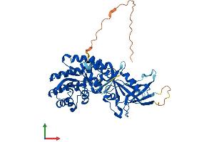 AlphaFold protein structure predicition of Mouse Recombinant Odc1 Protein, UniprotID P00860