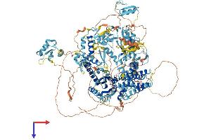 AlphaFold protein structure predicition of Human Recombinant ZMYM6 Protein, UniprotID O95789