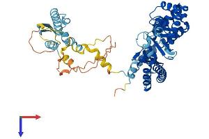 AlphaFold protein structure predicition of Human Recombinant TCAIM Protein, UniprotID Q8N3R3