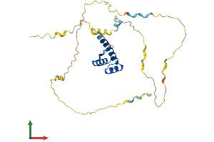 AlphaFold protein structure predicition of Mouse Recombinant Pdx1 Protein, UniprotID P52946