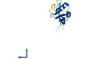 AlphaFold protein structure predicition of Human Recombinant POP7 Protein, UniprotID O75817