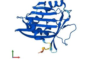 AlphaFold protein structure predicition of Human Recombinant PCTP Protein, UniprotID Q9UKL6