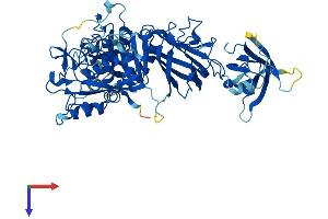 AlphaFold protein structure predicition of Human Recombinant CAPN5 Protein, UniprotID O15484