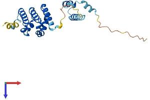AlphaFold protein structure predicition of Human Recombinant STAG3L1 Protein, UniprotID P0CL83