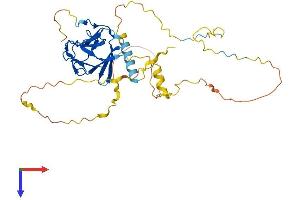 AlphaFold protein structure predicition of Mouse Recombinant Ppp1r8 Protein, UniprotID Q8R3G1