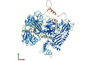 AlphaFold protein structure predicition of Mouse Recombinant Cfap61 Protein, UniprotID Q8CEL2