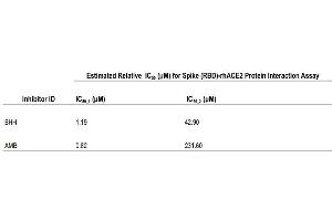 Activity of Ambroxol Hydrochloride (AMB) and Bromhexine Hydrochloride (BHH) against rhACE2 and SARS-CoV-2 Spike (RBD) protein Interaction.