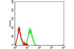 Flow cytometric analysis of Raji cells using CD227 mouse mAb (green) and negative control (red).