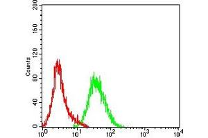 Flow cytometric analysis of Hela cells using CD131 mouse mAb (green) and negative control (red).