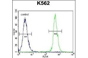 NUDT19 Antibody (Center) (ABIN655443 and ABIN2844974) flow cytometric analysis of K562 cells (right histogram) compared to a negative control cell (left histogram). (NUDT19 anticorps  (AA 153-181))