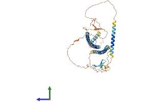 AlphaFold protein structure predicition of Human Recombinant CBY2 Protein, UniprotID Q8NA61