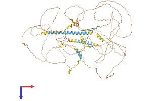 AlphaFold protein structure predicition of Mouse Recombinant Mamld1 Protein, UniprotID P0C6A2
