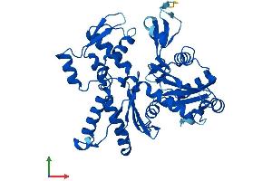 AlphaFold protein structure predicition of Human Recombinant ACTR2 Protein, UniprotID P61160