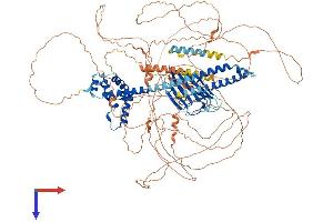 AlphaFold protein structure predicition of Human Recombinant CAPRIN2 Protein, UniprotID Q6IMN6