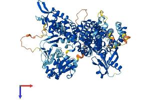 AlphaFold protein structure predicition of Human Recombinant RAPGEF4 Protein, UniprotID Q8WZA2