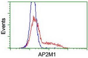 HEK293T cells transfected with either RC201377 overexpress plasmid (Red) or empty vector control plasmid (Blue) were immunostained by anti-AP2M1 antibody (ABIN2454656), and then analyzed by flow cytometry. (AP2M1 anticorps  (AA 97-383))