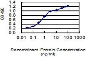 Detection limit for recombinant GST tagged C15orf55 is 0. (NUT (AA 1033-1132) anticorps)