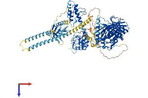 AlphaFold protein structure predicition of Human Recombinant OSBPL1A Protein, UniprotID Q9BXW6
