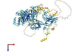 AlphaFold protein structure predicition of Human Recombinant EFL1 Protein, UniprotID Q7Z2Z2