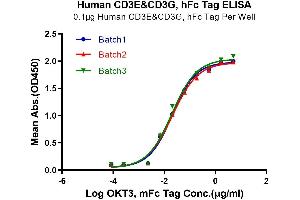 Immobilized Human CD3E&CD3G, hFc Tag at 1 μg/mL (100 μL/Well).