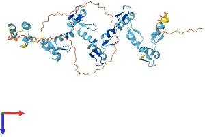 AlphaFold protein structure predicition of Human Recombinant ZNF19 Protein, UniprotID P17023