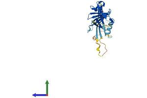 AlphaFold protein structure predicition of Human Recombinant ITM2B Protein, UniprotID Q9Y287
