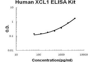 Human XCL1/Lymphotactin PicoKine ELISA Kit standard curve (XCL1 Kit ELISA)