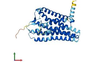 AlphaFold protein structure predicition of Human Recombinant OR1E1 Protein, UniprotID P30953