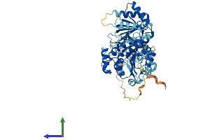 AlphaFold protein structure predicition of Human Recombinant DDX28 Protein, UniprotID Q9NUL7