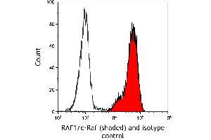 Flow Cytometry (FACS) image for anti-V-Raf-1 Murine Leukemia Viral Oncogene Homolog 1 (RAF1) (AA 300-350) antibody (ABIN7795692) (Recombinant RAF1 anticorps  (AA 300-350))