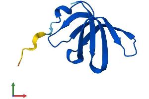 AlphaFold protein structure predicition of Mouse Recombinant Snrpg Protein, UniprotID P62309