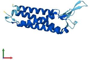 AlphaFold protein structure predicition of Human Recombinant EMP3 Protein, UniprotID P54852