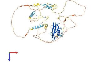 AlphaFold protein structure predicition of Human Recombinant SHB Protein, UniprotID Q15464