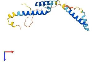 AlphaFold protein structure predicition of Mouse Recombinant Hes5 Protein, UniprotID P70120