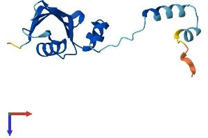 AlphaFold protein structure predicition of Human Recombinant RPS24 Protein, UniprotID P62847