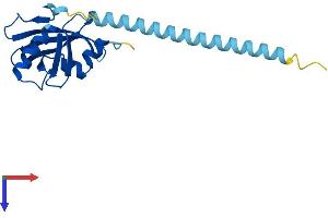 AlphaFold protein structure predicition of Human Recombinant CBFB Protein, UniprotID Q13951