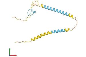 AlphaFold protein structure predicition of Human Recombinant SREK1IP1 Protein, UniprotID Q8N9Q2
