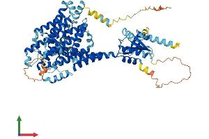 AlphaFold protein structure predicition of Mouse Recombinant Slc26a1 Protein, UniprotID P58735