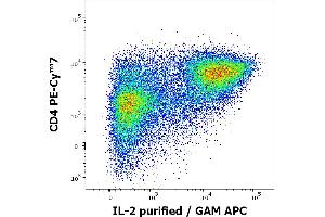 Flow cytometry multicolor intracellular staining of human PMA + ionomycin stimulated and Brefeldin A treated peripheral whole blood showing lymphocytes stained using anti-human CD4 (MEM-241) PE-Cy™7 antibody (4 μL reagent / 100 μL of peripheral whole blood) and anti-human IL-2 (35C3) purified antibody (concentration in sample 0,5 μg/mL, GAM APC). (IL-2 anticorps)
