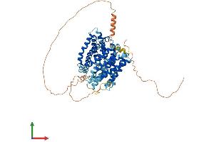 AlphaFold protein structure predicition of Mouse Recombinant Slc41a2 Protein, UniprotID Q8BYR8