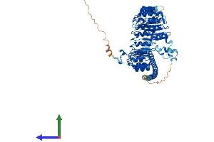 AlphaFold protein structure predicition of Human Recombinant FBXL13 Protein, UniprotID Q8NEE6