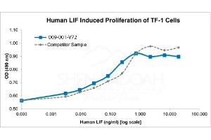 SDS-PAGE of Human Leukemia Inhibitory Factor Recombinant Protein Bioactivity of Human Leukemia Inhibitory Factor Recombinant Protein. (LIF Protéine)