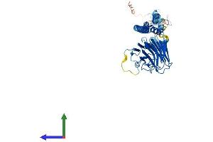 AlphaFold protein structure predicition of Mouse Recombinant Trim14 Protein, UniprotID Q8BVW3