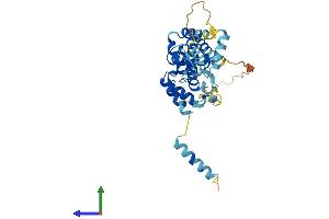 AlphaFold protein structure predicition of Human Recombinant TADA1 Protein, UniprotID Q96BN2