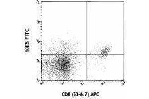 Flow Cytometry (FACS) image for anti-CD226 (CD226) antibody (FITC) (ABIN2661596)