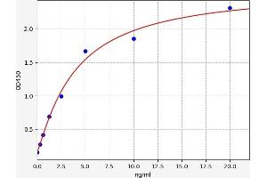 Typical standard curve